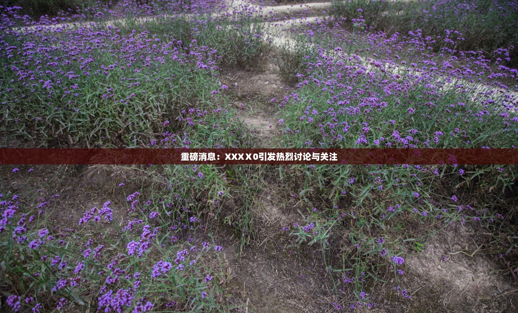 重磅消息：XXXⅩ0引发热烈讨论与关注