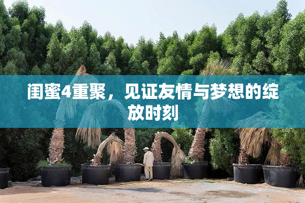 闺蜜4重聚，见证友情与梦想的绽放时刻
