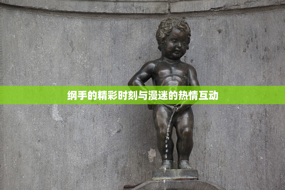 纲手的精彩时刻与漫迷的热情互动