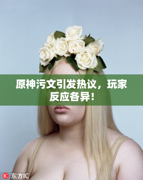 原神污文引发热议，玩家反应各异！
