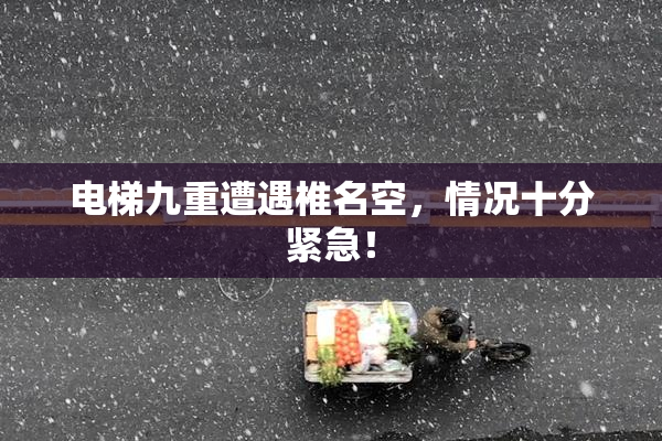 电梯九重遭遇椎名空，情况十分紧急！