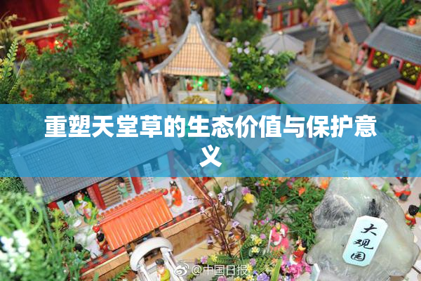 重塑天堂草的生态价值与保护意义