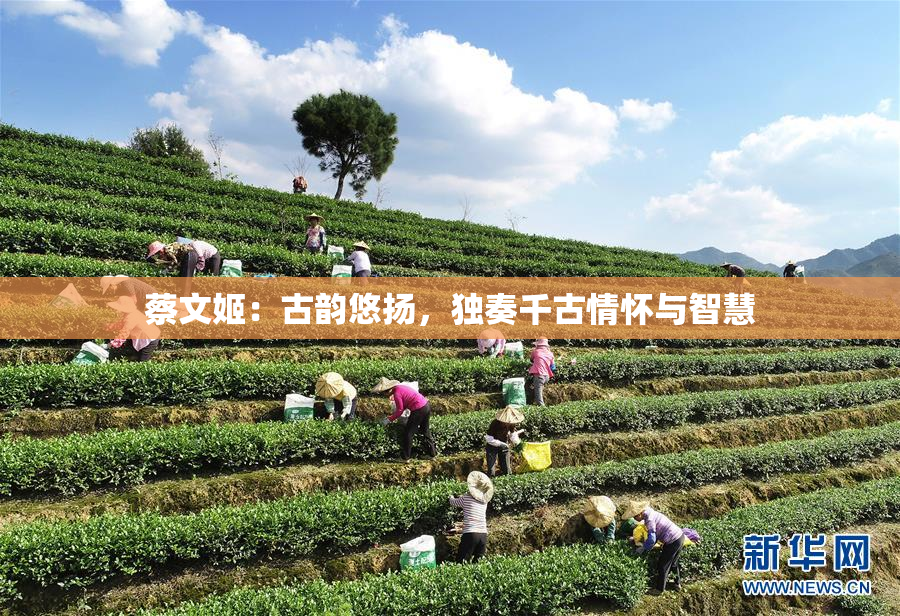 蔡文姬：古韵悠扬，独奏千古情怀与智慧