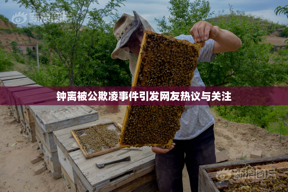 钟离被公欺凌事件引发网友热议与关注