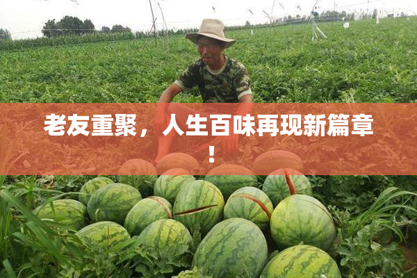 老友重聚，人生百味再现新篇章！