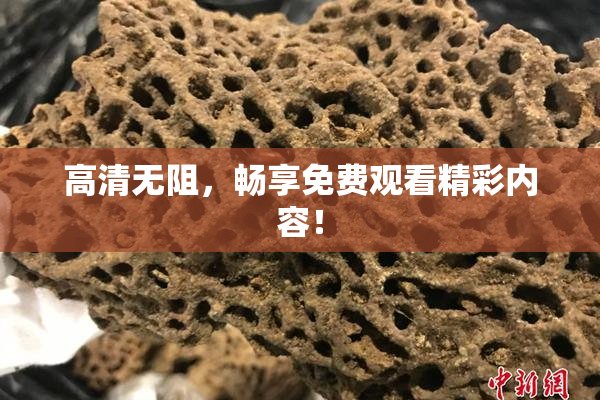 高清无阻，畅享免费观看精彩内容！