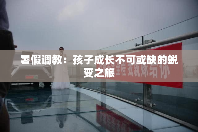 暑假调教：孩子成长不可或缺的蜕变之旅