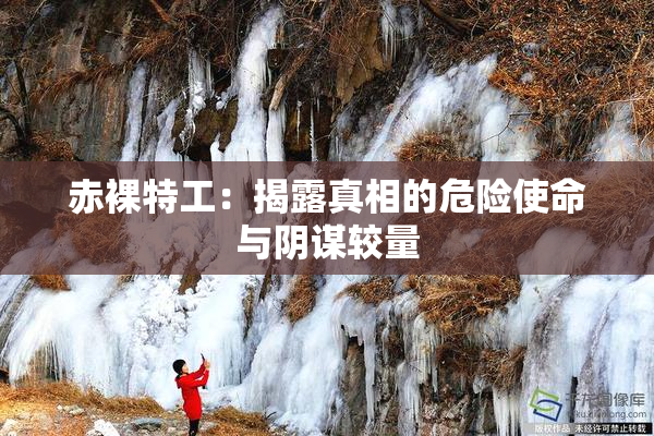 赤裸特工：揭露真相的危险使命与阴谋较量