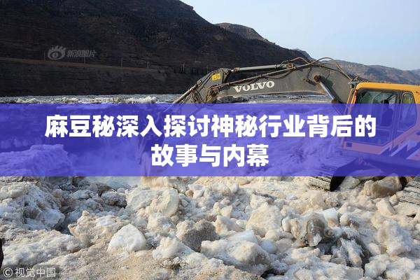 麻豆秘深入探讨神秘行业背后的故事与内幕