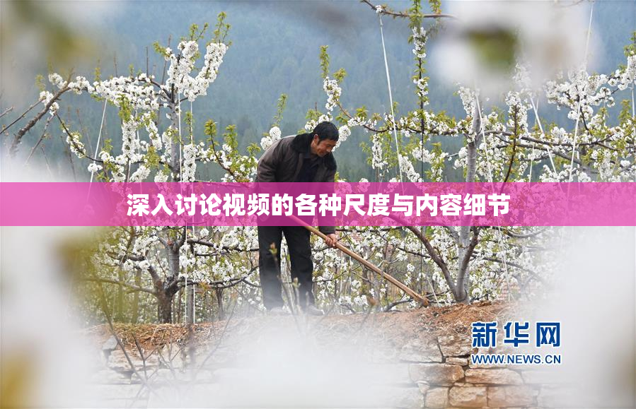 深入讨论视频的各种尺度与内容细节