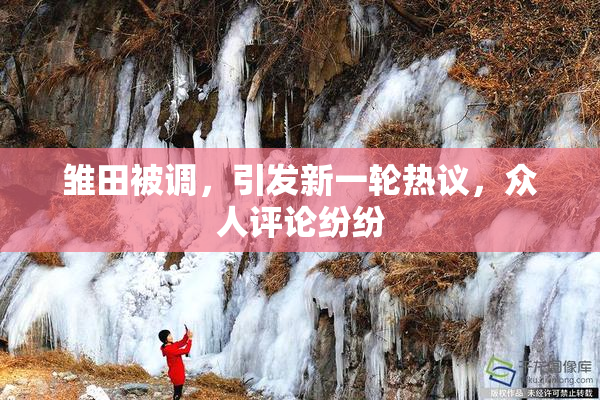 雏田被调，引发新一轮热议，众人评论纷纷