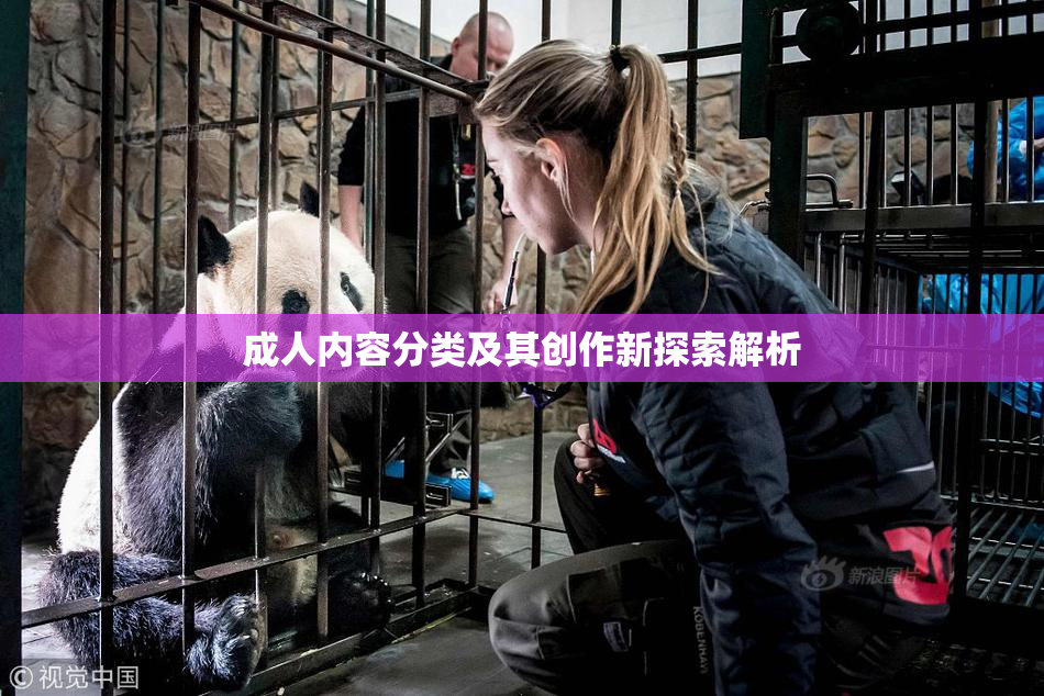 成人内容分类及其创作新探索解析