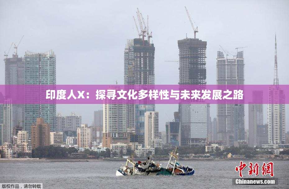 印度人X：探寻文化多样性与未来发展之路