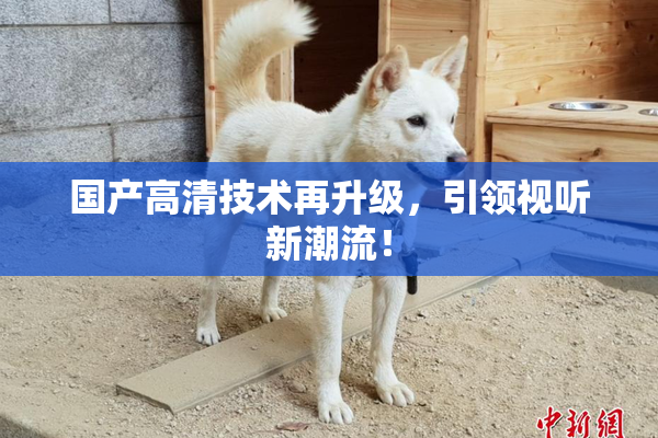 国产高清技术再升级，引领视听新潮流！