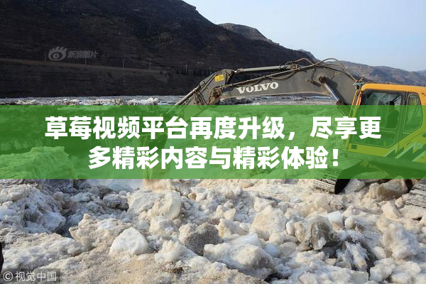 草莓视频平台再度升级，尽享更多精彩内容与精彩体验！