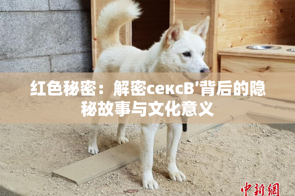 红色秘密：解密сексB′背后的隐秘故事与文化意义