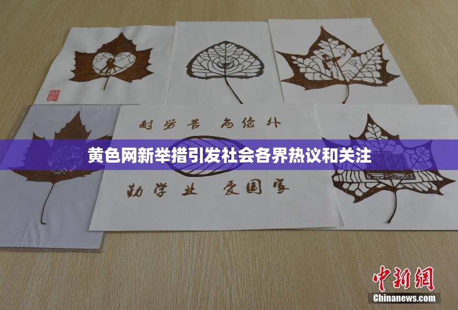 黄色网新举措引发社会各界热议和关注