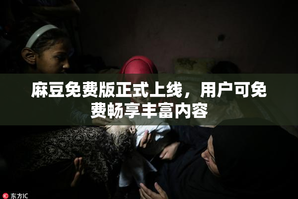 麻豆免费版正式上线，用户可免费畅享丰富内容