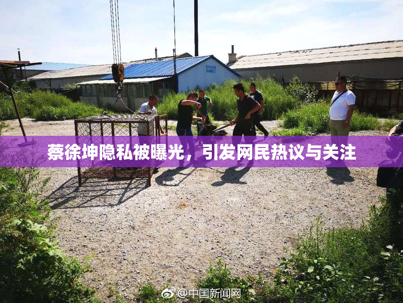 蔡徐坤隐私被曝光，引发网民热议与关注