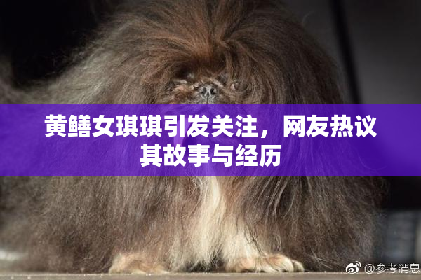 黄鳝女琪琪引发关注，网友热议其故事与经历