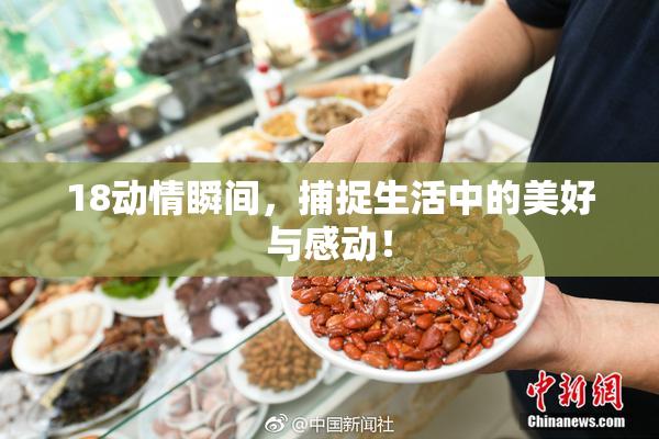 18动情瞬间，捕捉生活中的美好与感动！