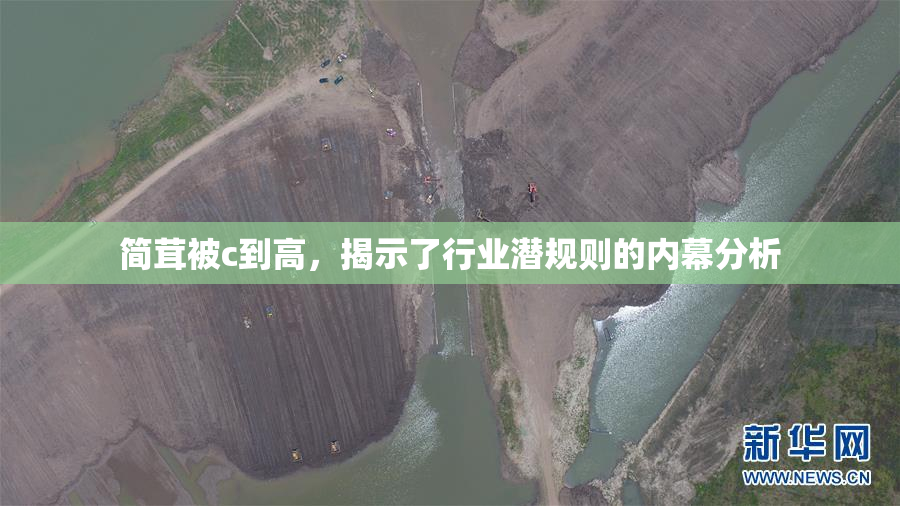 简茸被c到高，揭示了行业潜规则的内幕分析