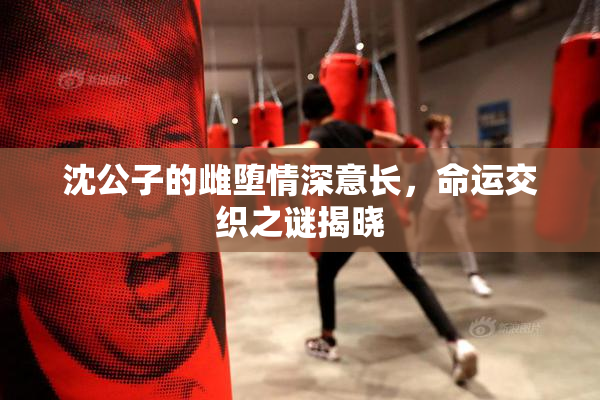 沈公子的雌堕情深意长，命运交织之谜揭晓
