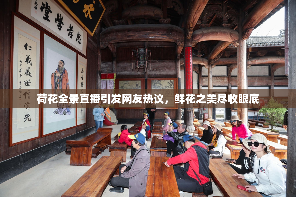 荷花全景直播引发网友热议，鲜花之美尽收眼底