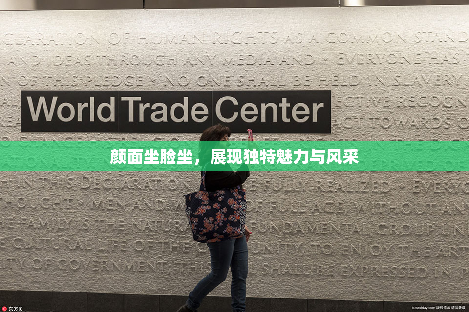 颜面坐脸坐，展现独特魅力与风采