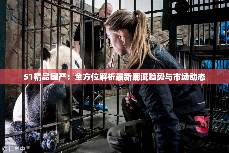 51精品国产：全方位解析最新潮流趋势与市场动态