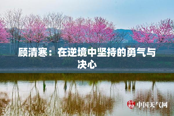 顾清寒：在逆境中坚持的勇气与决心