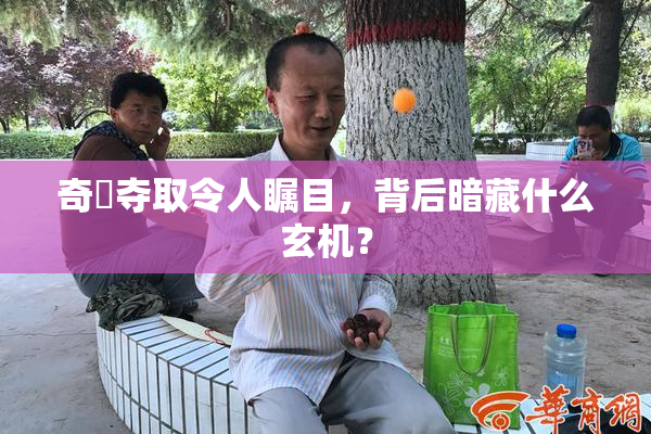 奇犽夺取令人瞩目，背后暗藏什么玄机？