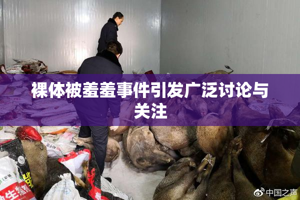 裸体被羞羞事件引发广泛讨论与关注