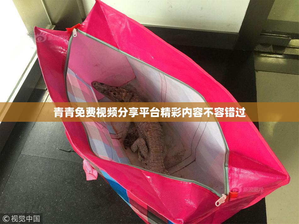 青青免费视频分享平台精彩内容不容错过