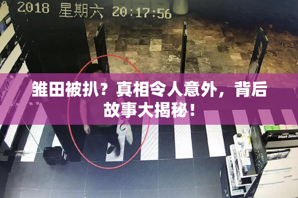 雏田被扒？真相令人意外，背后故事大揭秘！