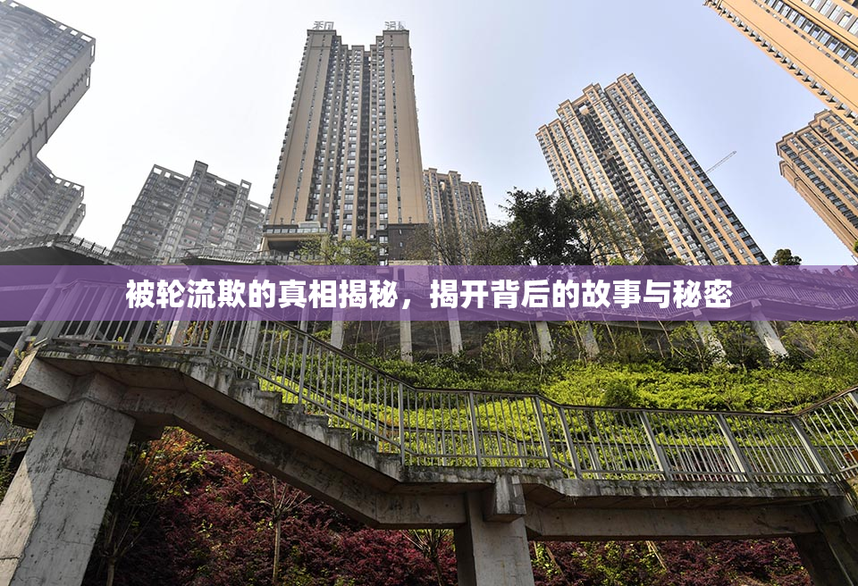 被轮流欺的真相揭秘，揭开背后的故事与秘密