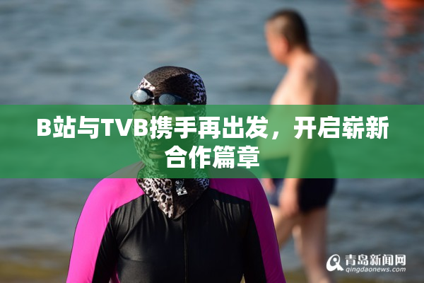 B站与TVB携手再出发，开启崭新合作篇章