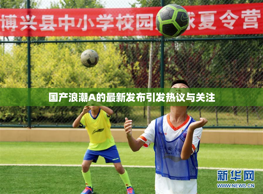 国产浪潮A的最新发布引发热议与关注