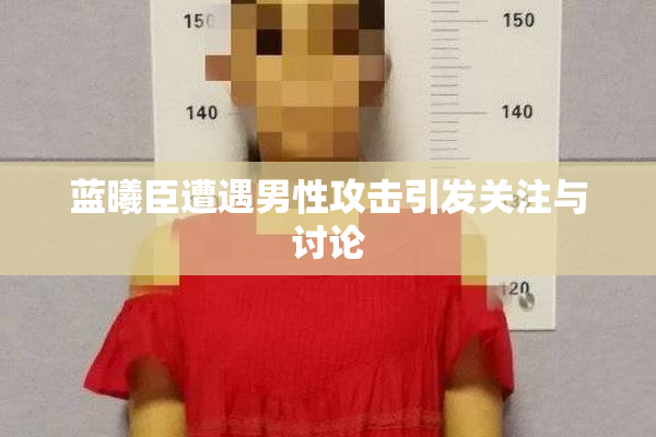 蓝曦臣遭遇男性攻击引发关注与讨论