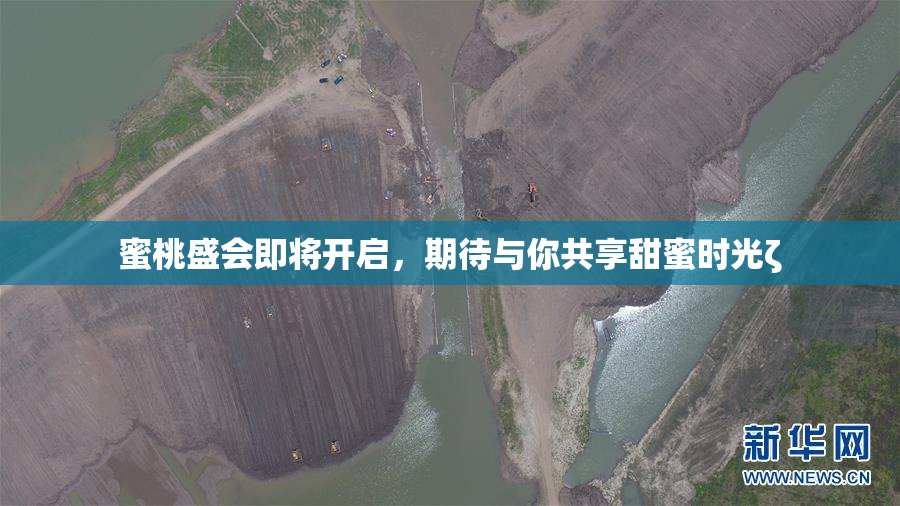 蜜桃盛会即将开启，期待与你共享甜蜜时光ζ