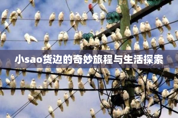 小sao货边的奇妙旅程与生活探索