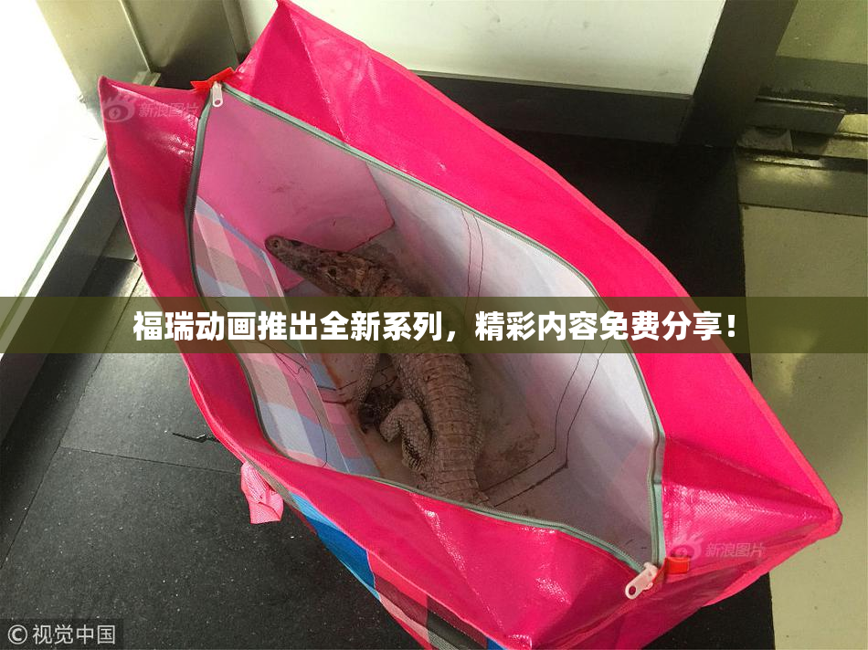 福瑞动画推出全新系列，精彩内容免费分享！