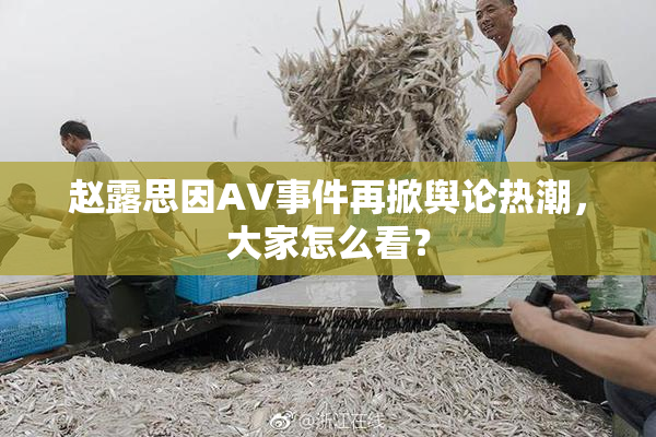 赵露思因AV事件再掀舆论热潮，大家怎么看？