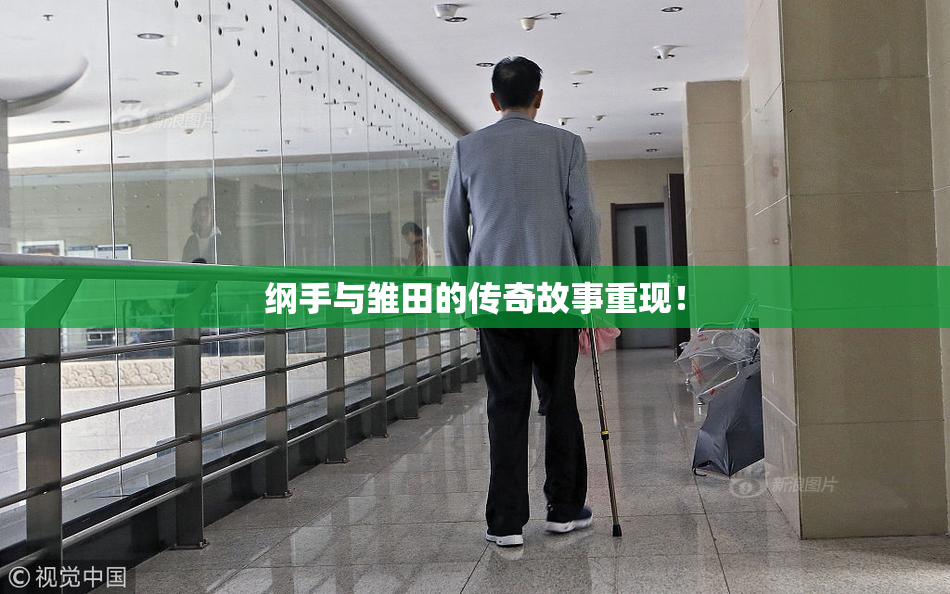纲手与雏田的传奇故事重现！