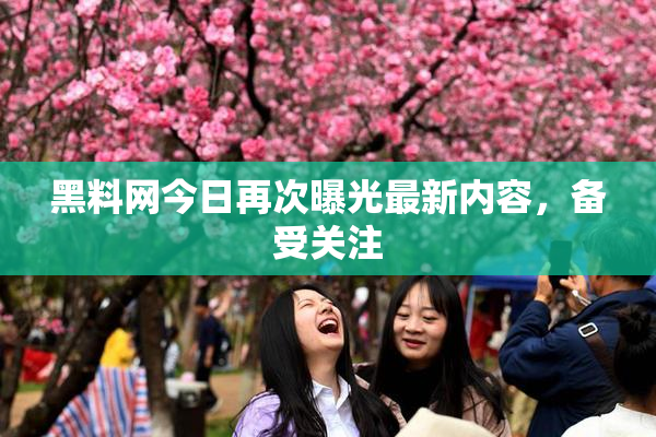 黑料网今日再次曝光最新内容，备受关注