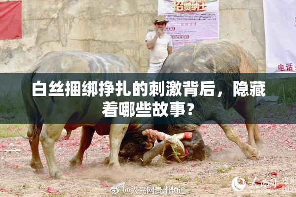 白丝捆绑挣扎的刺激背后，隐藏着哪些故事？