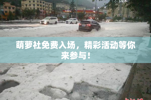 萌萝社免费入场，精彩活动等你来参与！
