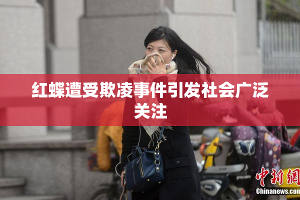 红蝶遭受欺凌事件引发社会广泛关注