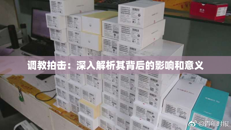 调教拍击：深入解析其背后的影响和意义
