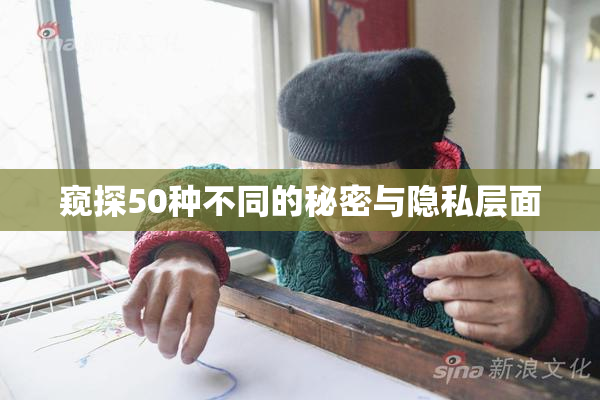 窥探50种不同的秘密与隐私层面